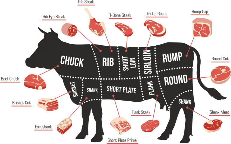 Here is a list of common beef cuts by OMROS FOODS – 2023